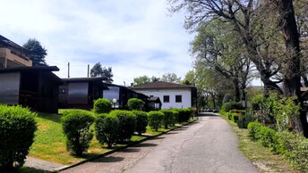 Foto Gallery 2