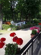 Foto Gallery 5
