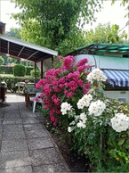 Foto Gallery 24