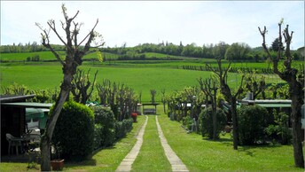 Foto Gallery 15